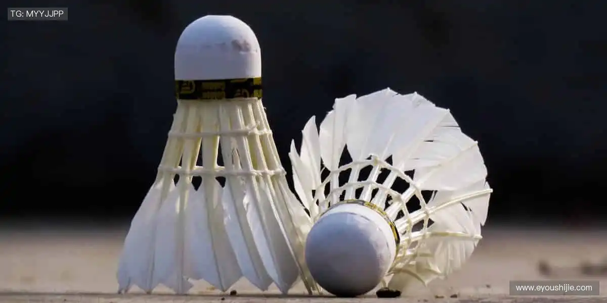 🎯 球星同款，即刻拥有！体育周边商城，解锁你的专属热爱！